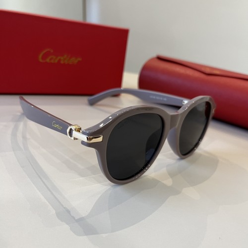 Cartier 까르띠에 선글라스 #251161633