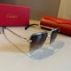 Cartier 까르띠에 선글라스 #251161552